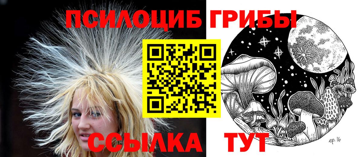 Орехово-Зуево  Псилоцибиновые грибы мицелий  Галлюциногенные грибы прущие грибы  Вход с VPN 